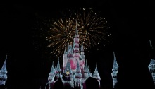 Picture I took of the fireworks in Disney World's Magic Kingdom!